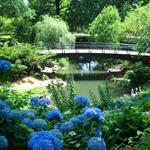 Lafayette Park