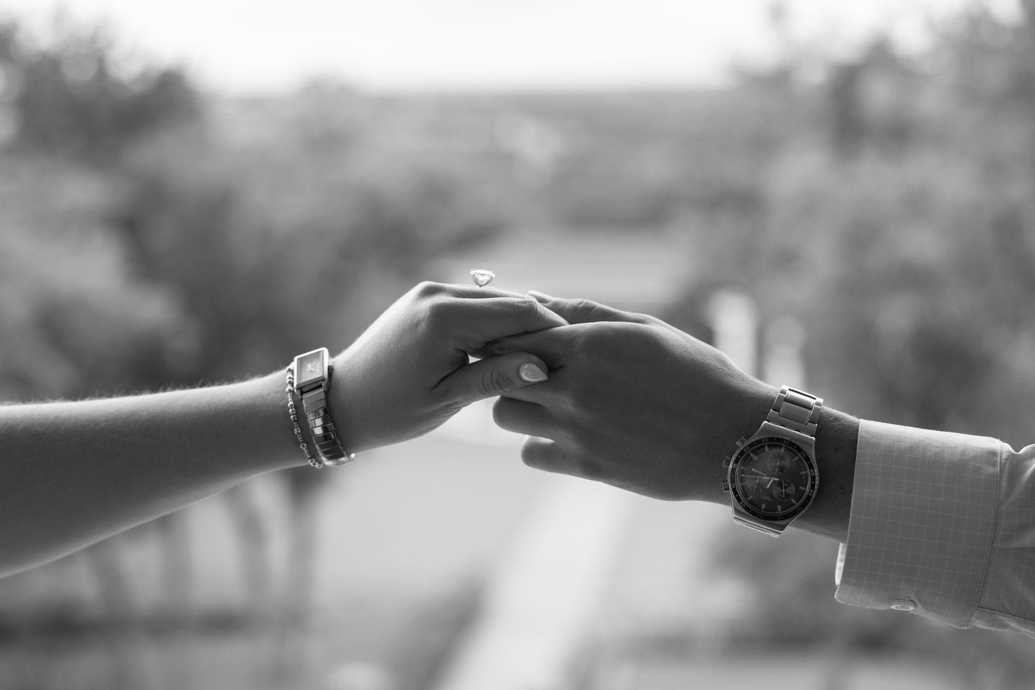 The Wedding Website of Ruthanne Martin and Brady Coleman
