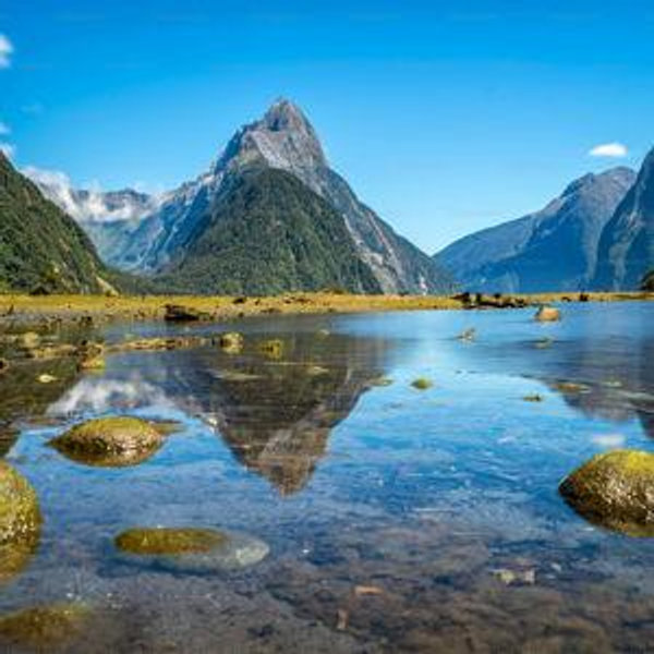 New Zealand Honeymoon Fund