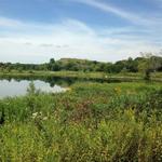 Blackwell Forest Preserve