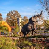 Saint Louis Zoo