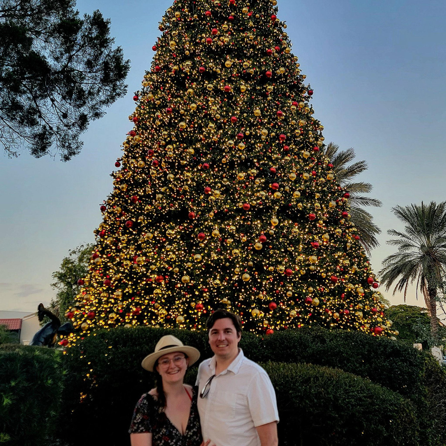 Our first Holiday Season in Sarasota