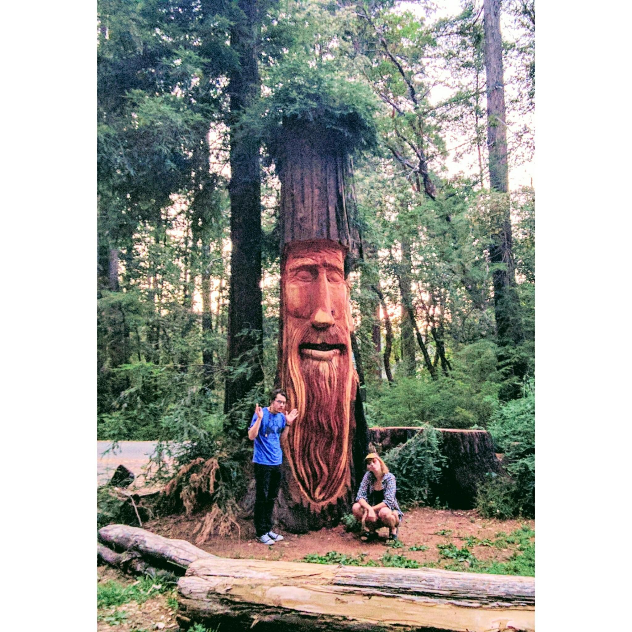 Funky kids and a funky tree face in one of those funky Cali forests.