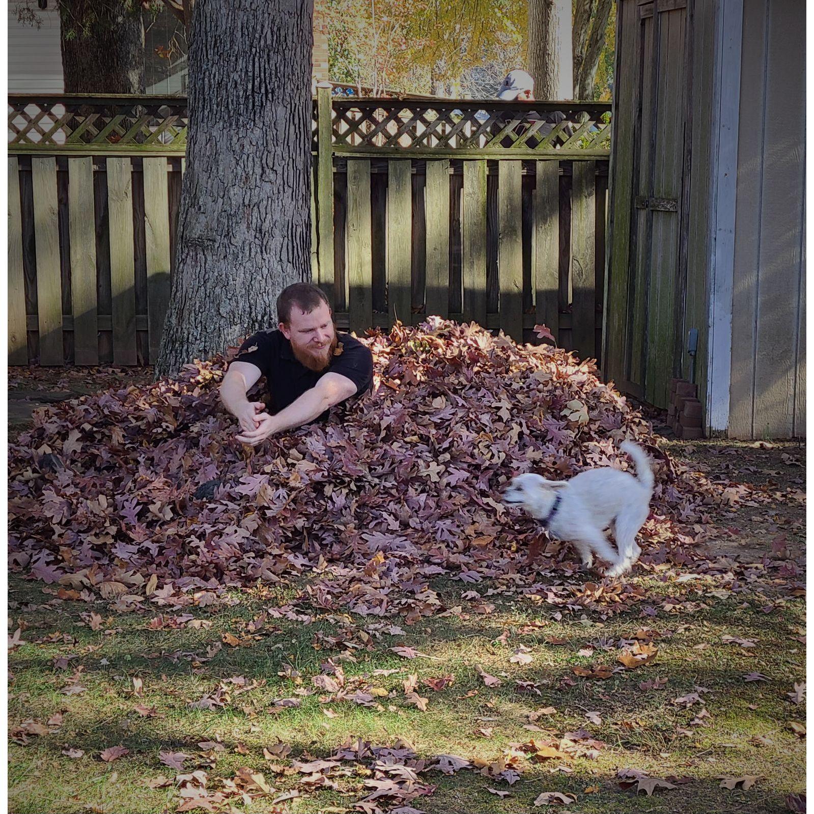 He's supposed to be helping cleanup...guess entertaining the dog takes precedence