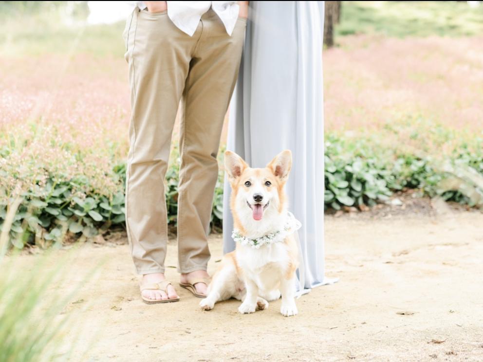 The Wedding Website of Shelby Sato and Robert Prieto
