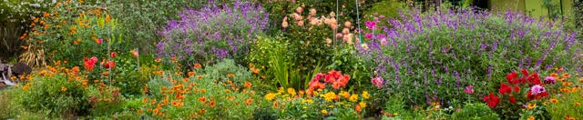 The Wedding Website of Kenton Latham and Renae Hurlbutt