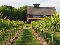 Shelburne Vineyards