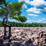 Hickory Run State Park