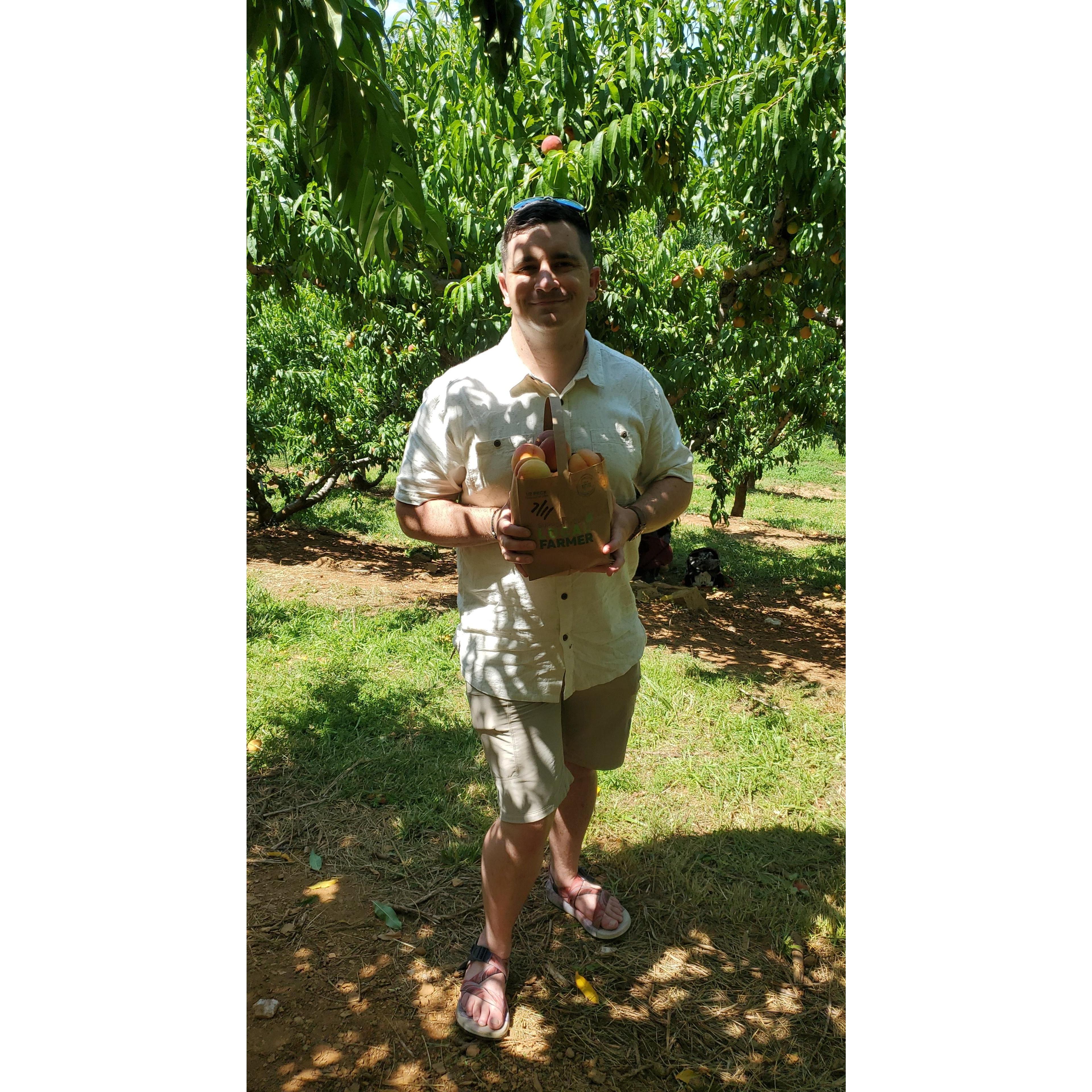 We went to Carter Mountain to do a cider tasting and picked peaches afterwards.