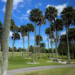 Crane Creek Reserve Golf