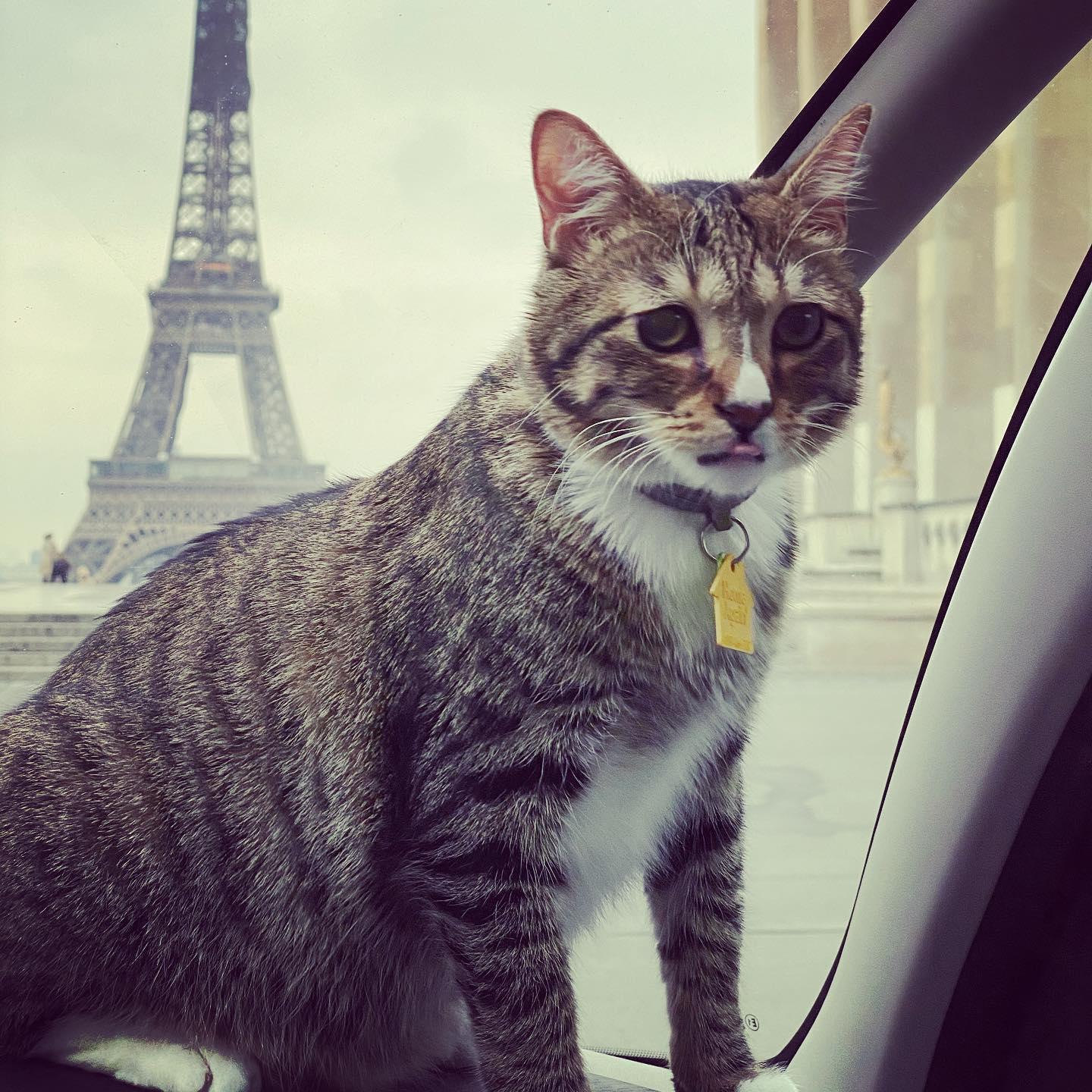 Thomas fresh off the plane and wondering where the heck he is.