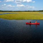 Scarborough Marsh Audubon Center