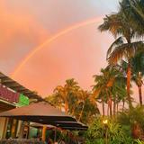 Monkeypod Kitchen by Merriman - Wailea, Maui