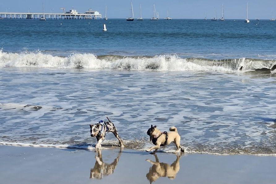 The Wedding Website of Thomas Meehan and Elizabeth Wagner