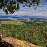 Pickles Bluff