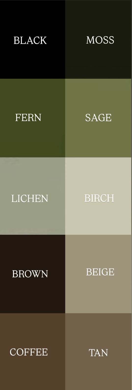 The Wedding Website of Rachel Dejeu and Tony Psarev