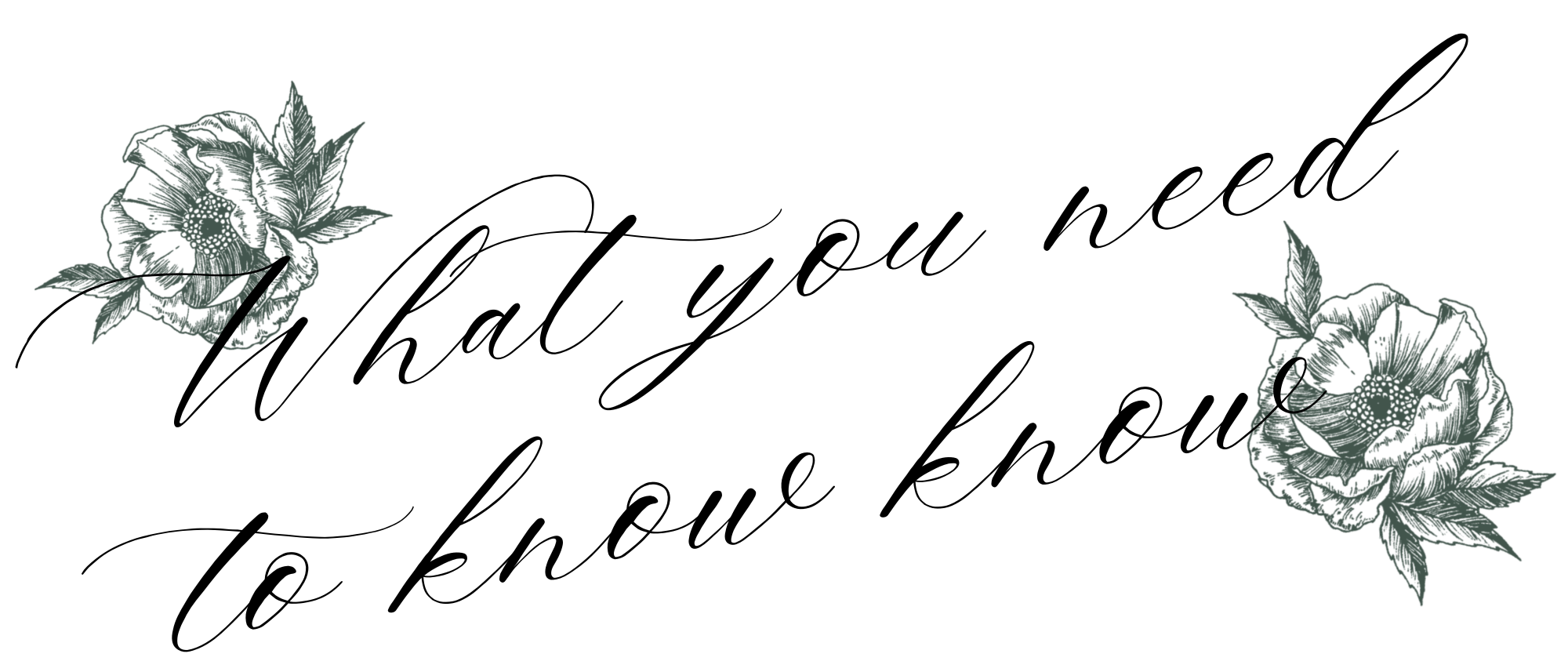 The Wedding Website of Rayanna Smith and Max Torres