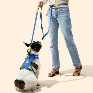 Luna Small 6-in-1 Waterproof Hands-Free Leash & Collar