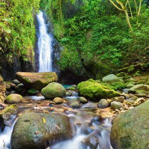 Tuk Tuk Waterfall & Beach Experience