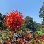 Missouri Botanical Garden