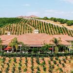 Masia de la Vinya Winery