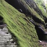 Sloan Gorge Preserve
