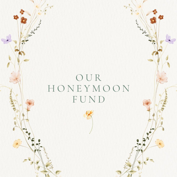 Our honeymoon fund