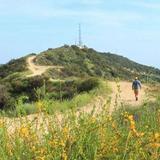 Beaudry Loop Trailhead