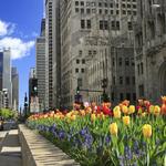 Magnificent Mile