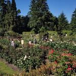 Portland Japanese Garden