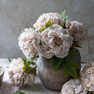 Peony Evening Dew Stem, Set of 4