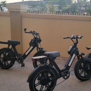 Bridgetown E-Bike Tour for 2
