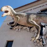 Arizona Museum of Natural History