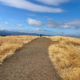 Mount Pisgah Arboretum