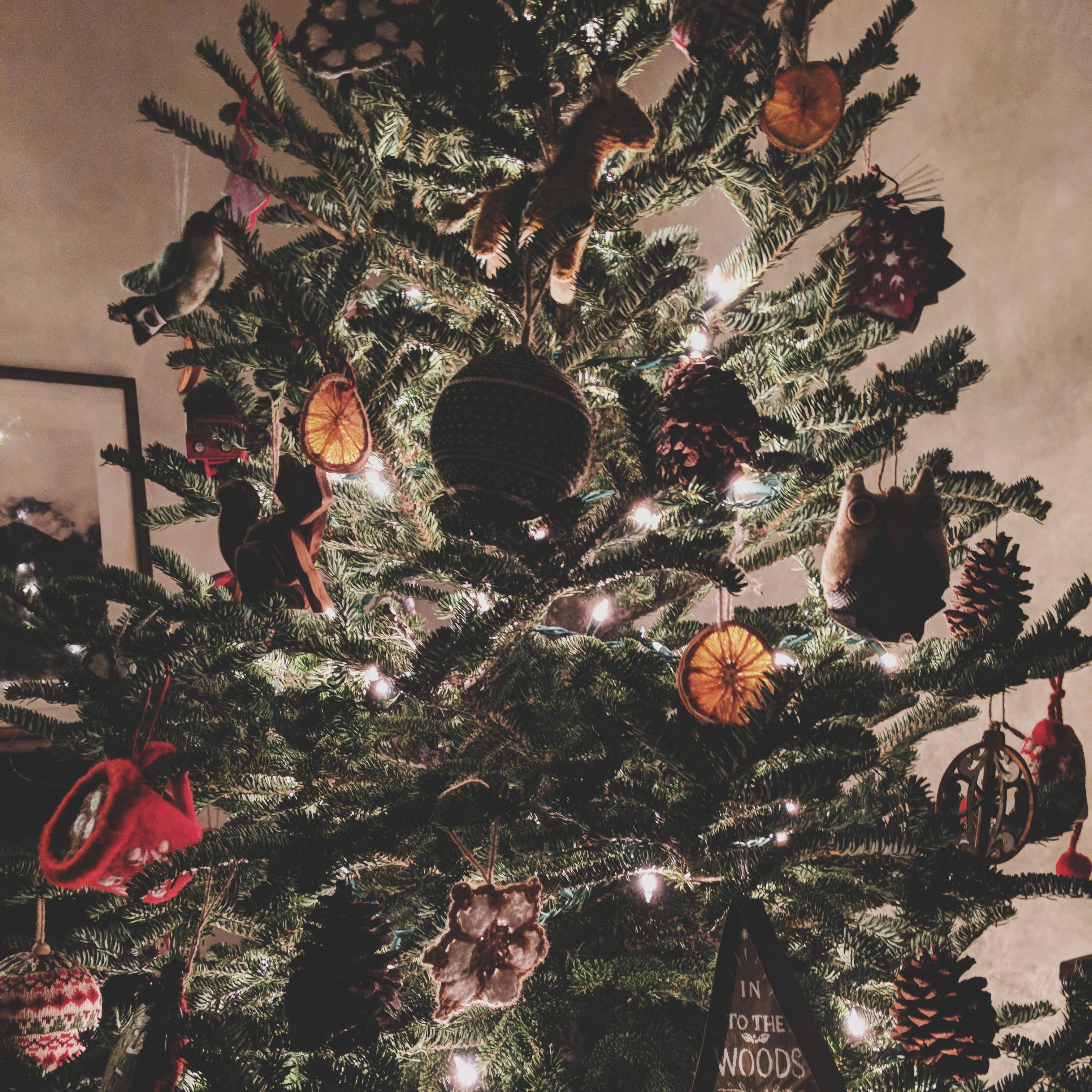December 23rd, 2017:
Our Christmas tree! 🎄