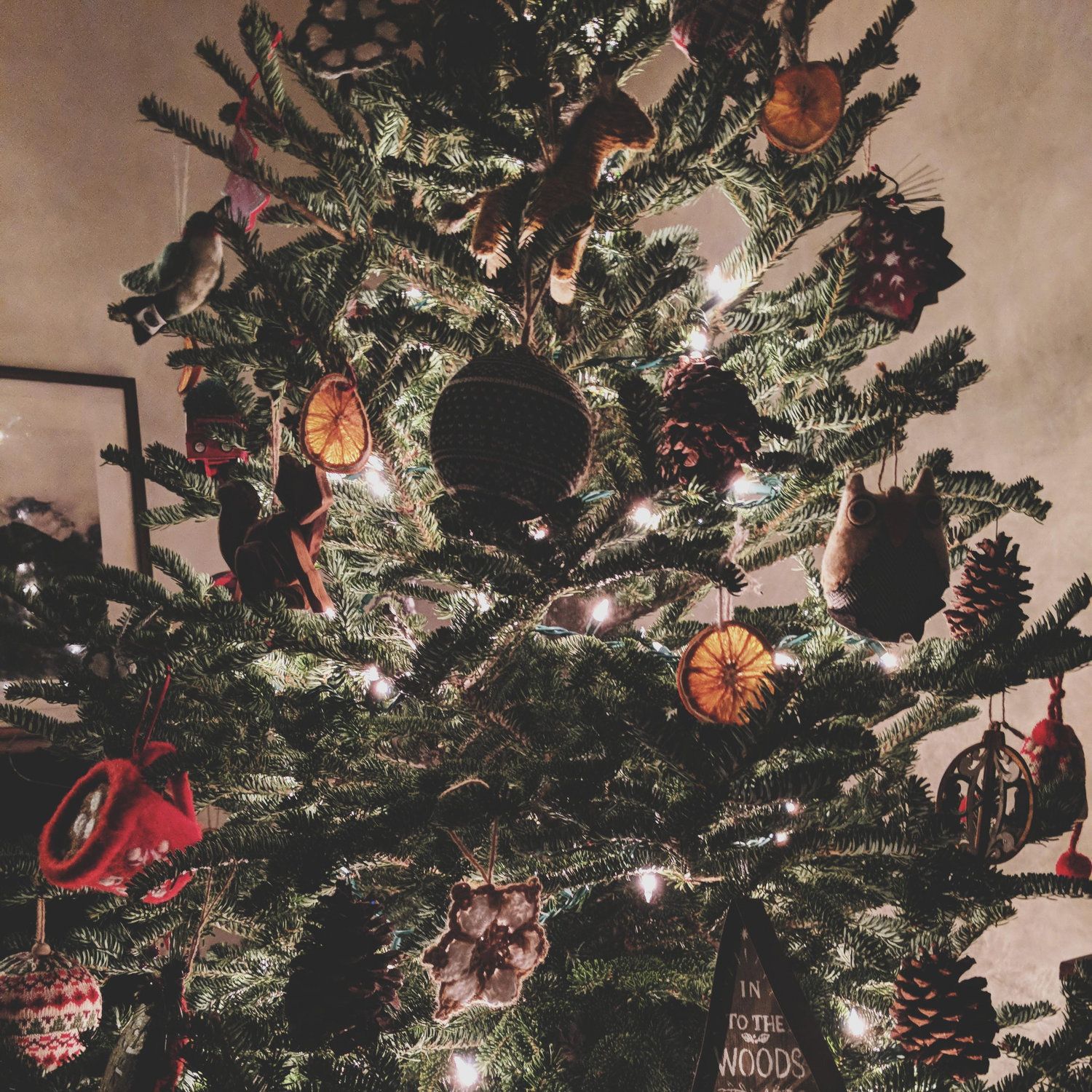 December 23rd, 2017:
Our Christmas tree! 🎄