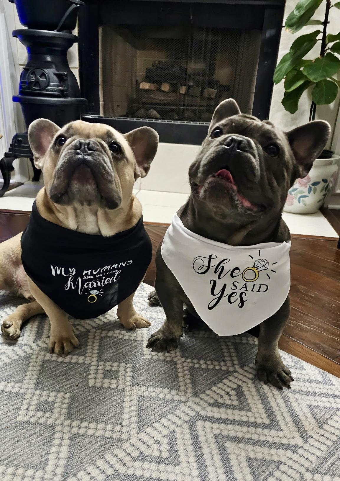 The Wedding Website of Meagan Mollergren and Zack Ostrander