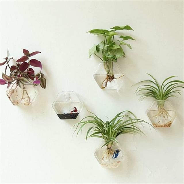 Kingbuy 3 Pack Wall Hanging Plant Terrarium Hexagon Shape Home Decor Wall Decorations Planter Hung Water Planting Glass Vase，M