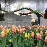 The Arboretum at Penn State