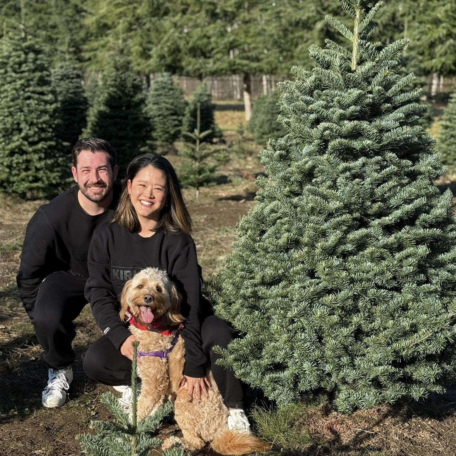 Christmas card photos ft matching Kirkland sweats (and Teddie!)