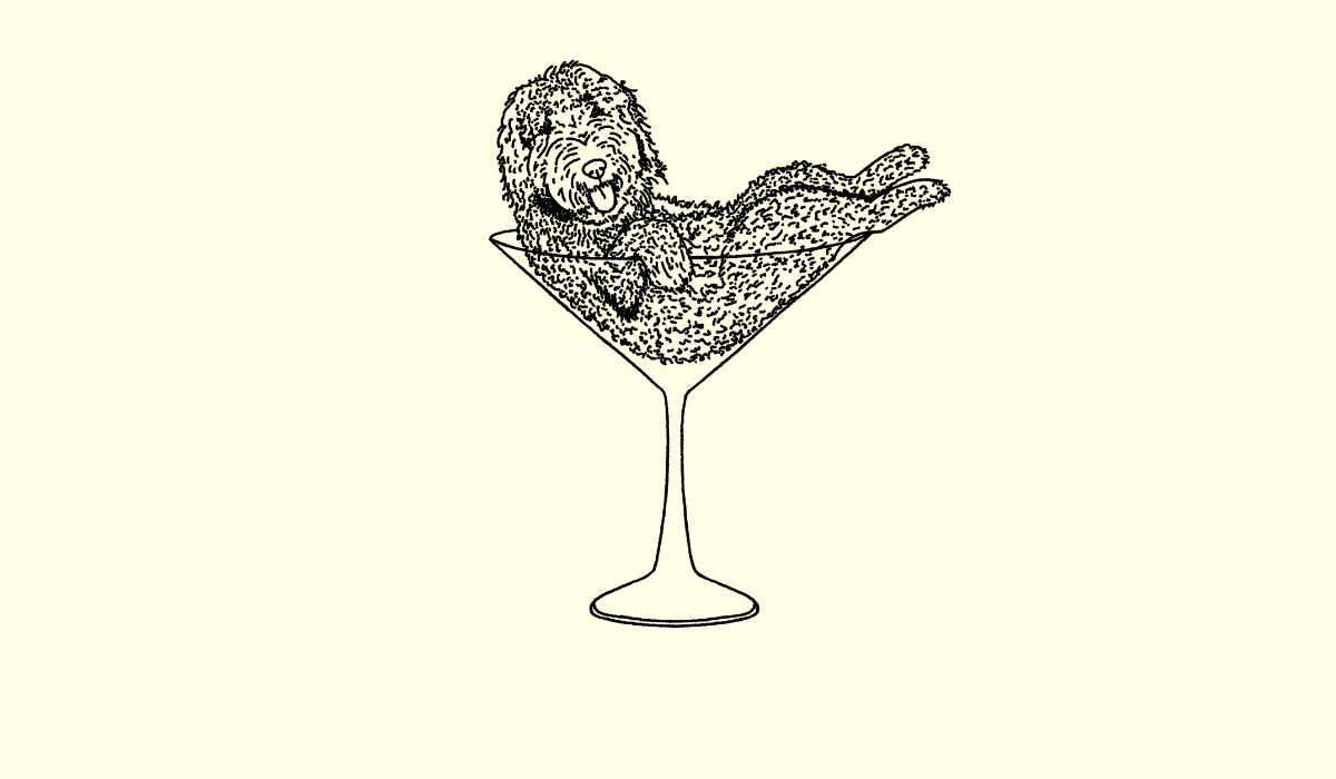 Footer image