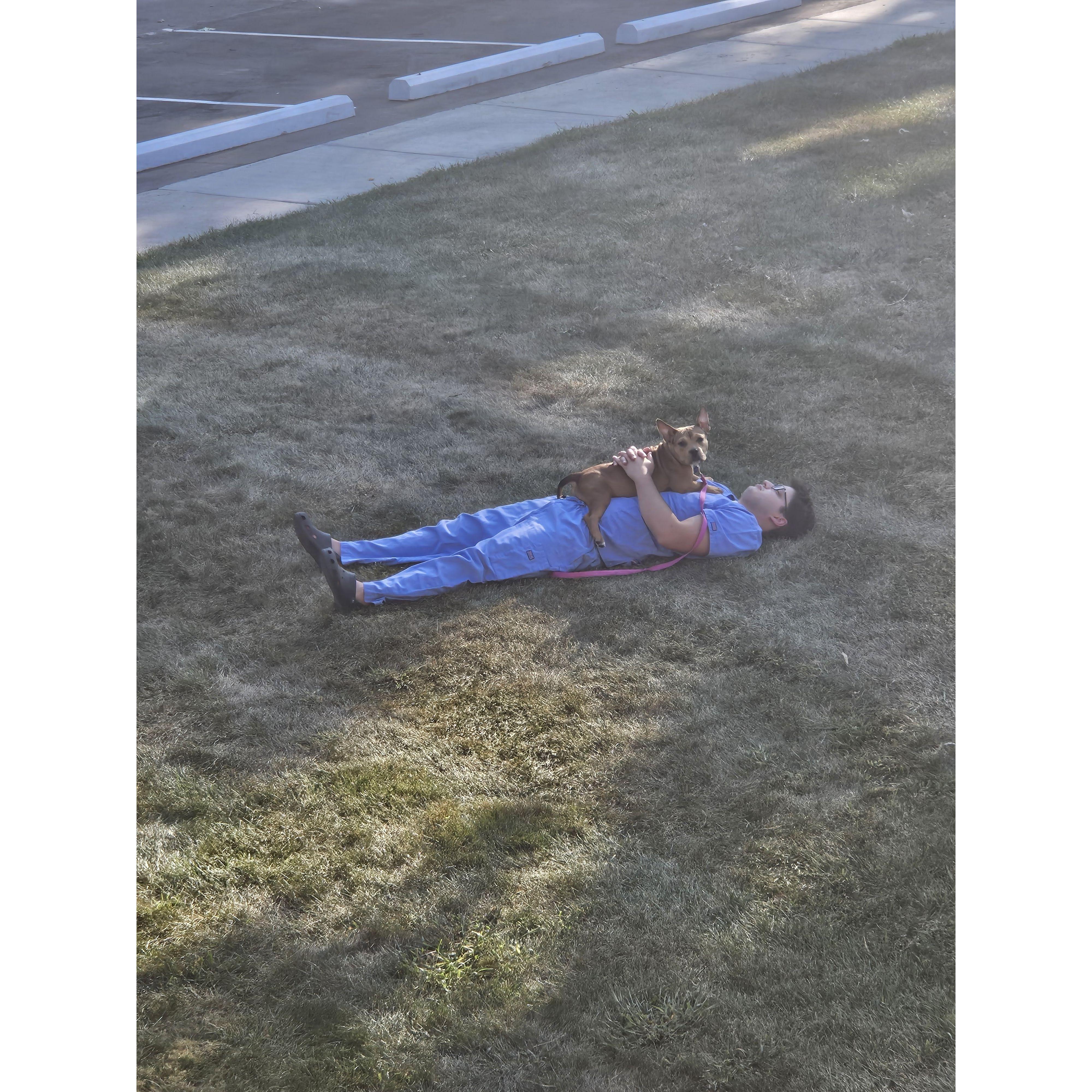 Seriously, they really love laying outside.
