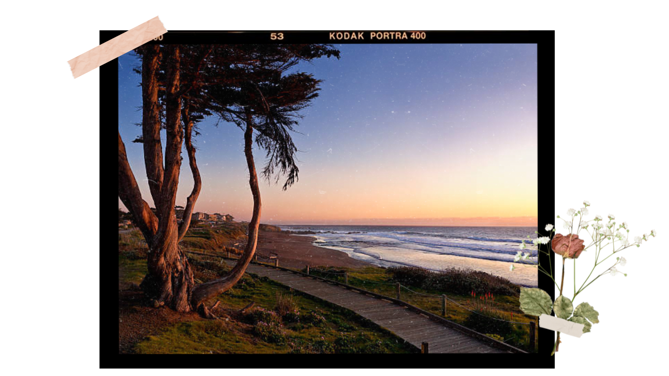 The Wedding Website of Mikey Gould and Cassie Gigliotti