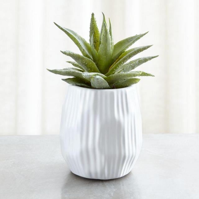 Potted Faux Single Succulent Plant