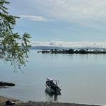 Boat tours