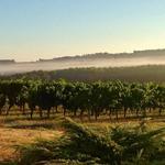 Bergerac: A Map of the Vineyards