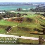 Cahokia Mounds State Historic Site