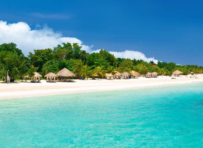 The Wedding Website of Adam Harper and Ayanna McCants