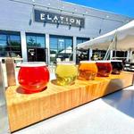 Elation Brewing
