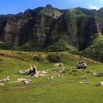 Kualoa Ranch